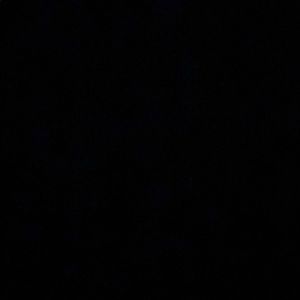 Meet your Posher, Mabel